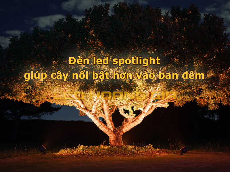 Đèn led spotlight giúp cây cối nổi bật hơn vào ban đêm
