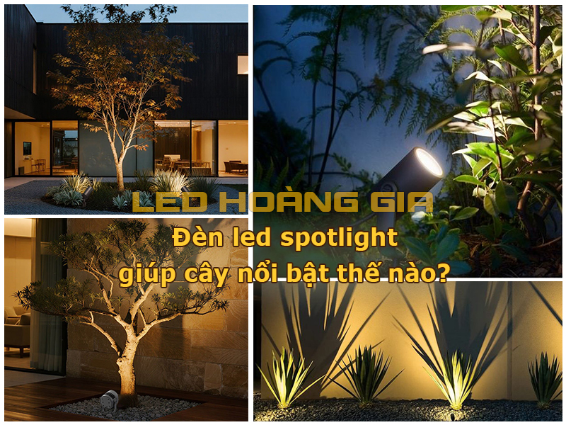 Đèn led spotlight giúp cây nổi bật thế nào