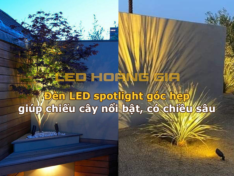 Đèn led Spotlight góc hẹp giúp chiếu cây nổi bật