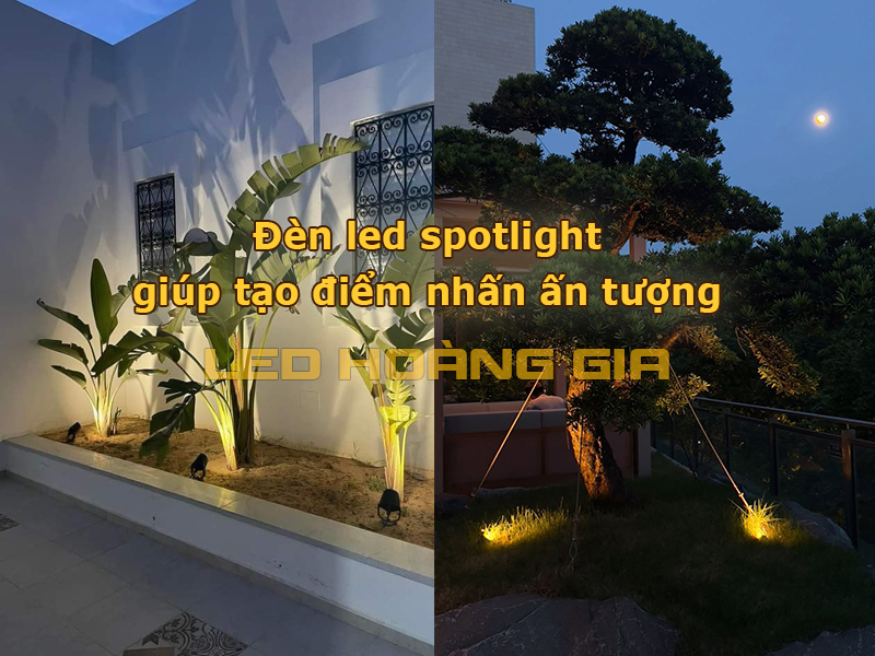 Đèn led spotlight giups tạo điểm nhấn ấn tượng cho cây cối