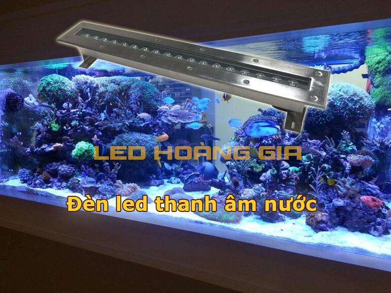 Đèn led âm nước dạng thanh cho hồ cá biển