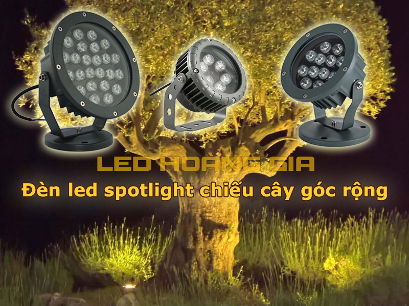 Đèn spotlight chiếu cây góc rộng
