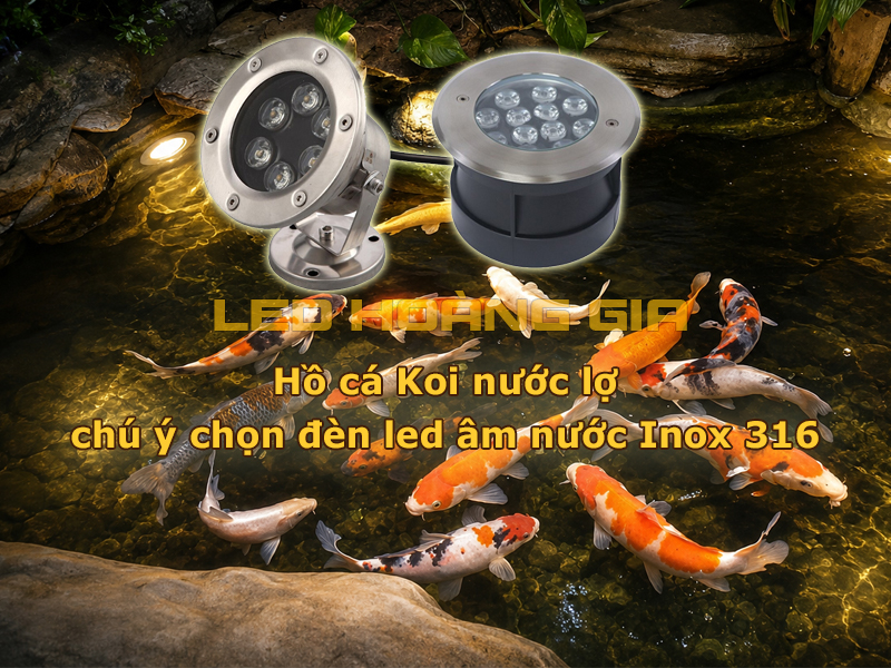Hồ cá Koi nước lợ chú ý chọn đèn led âm nước Inox 316