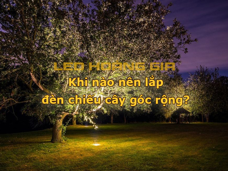 Khi nào nên lắp đèn chiếu cây góc rộng