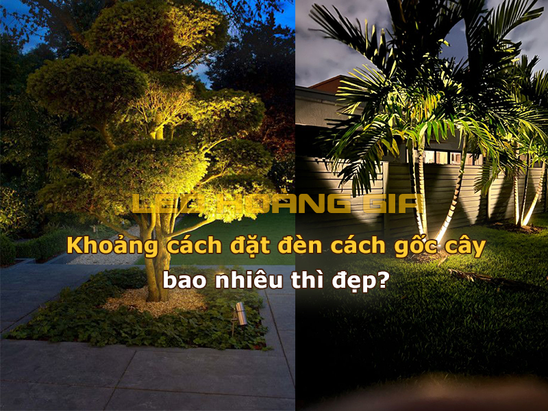 Khoảng cách đặt đèn cách gốc cây bao nhiêu thì đẹp