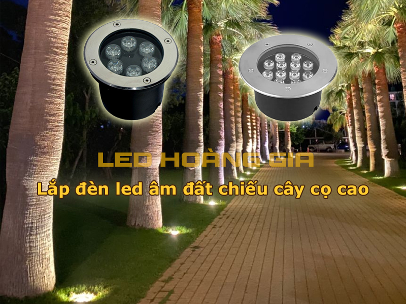 Lắp đèn led âm đất chiếu cây cọ cao