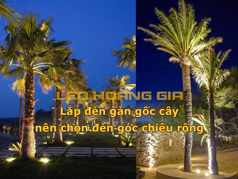 Lắp đèn gần gốc cây nên chọn đèn góc rộng
