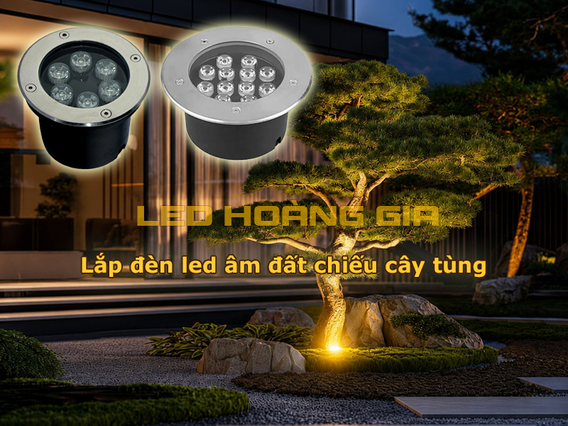 Lắp đèn led âm đất chiếu sáng cây tùng