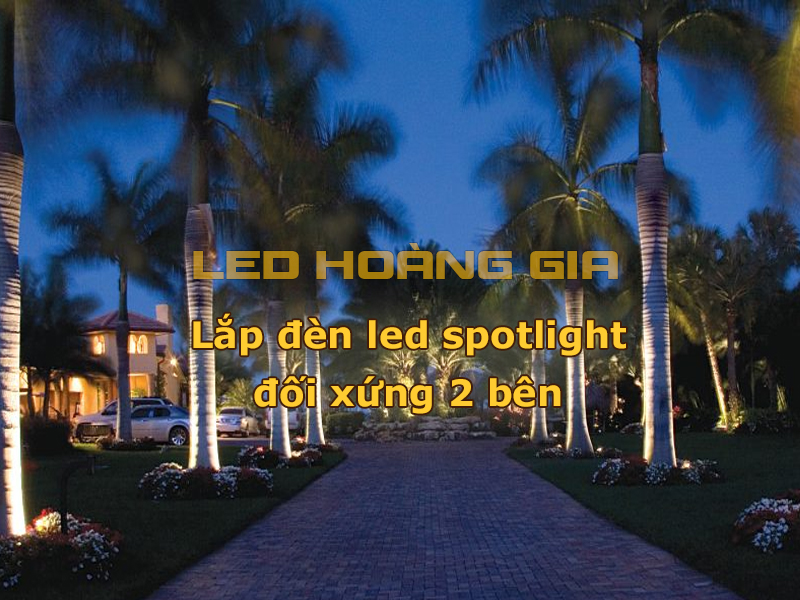 Lắp đèn led spotlight 2 bên để chiếu cây cau 5m