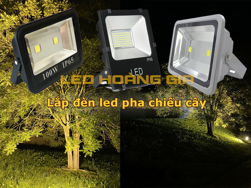 Lắp đèn pha led chiếu cây