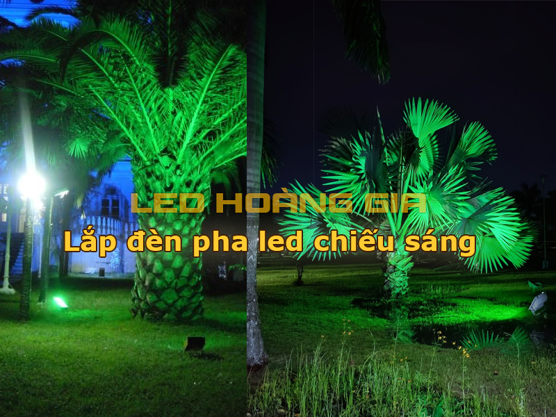 Đèn pha led chiếu cây