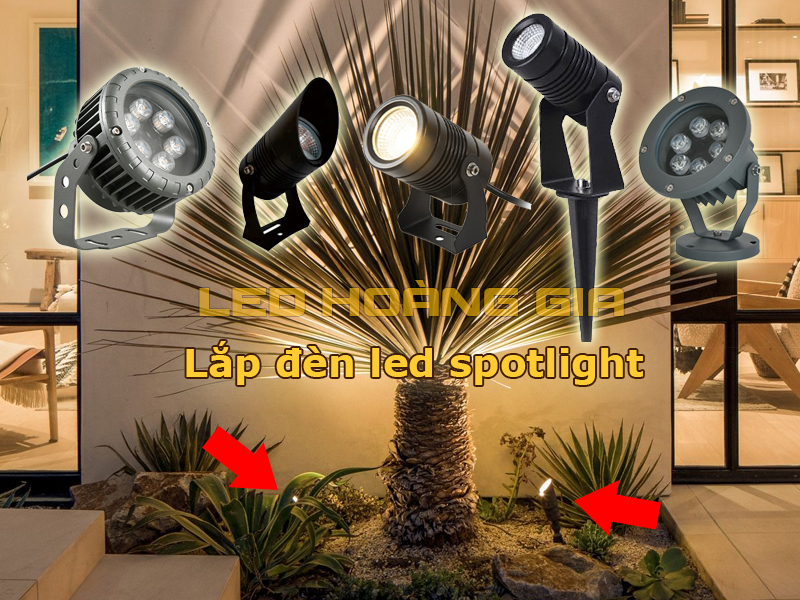 Lắp đèn led spotlight chiếu cây cọ lùn