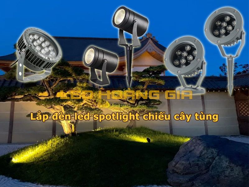 Lắp đèn led spotlight để chiếu sáng cây tùng