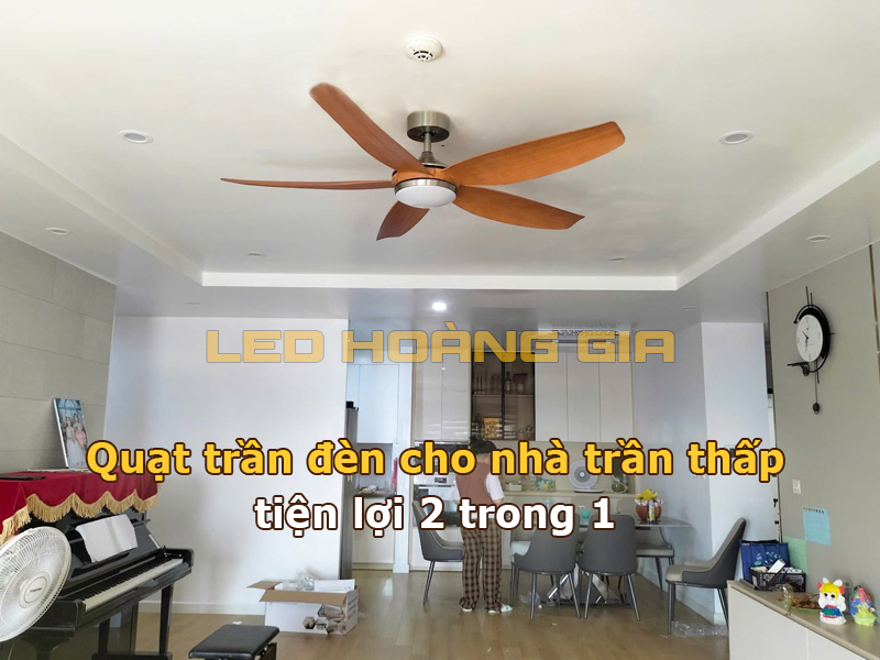 Lắp quạt trần đèn cho trần nhà thấp tiện lợi 2 trong 1