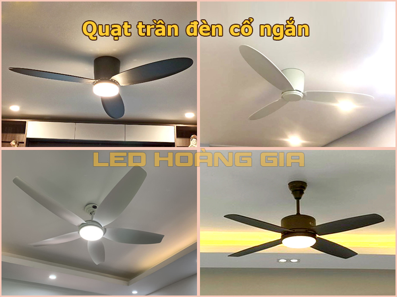 Quạt trần đèn cổ ngắn