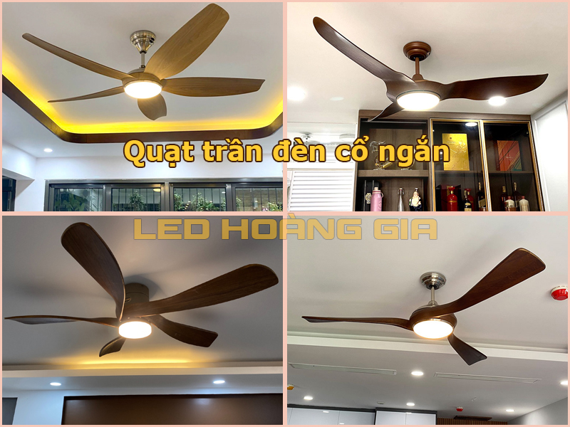 Quạt trần đèn cổ ngắn đẹp