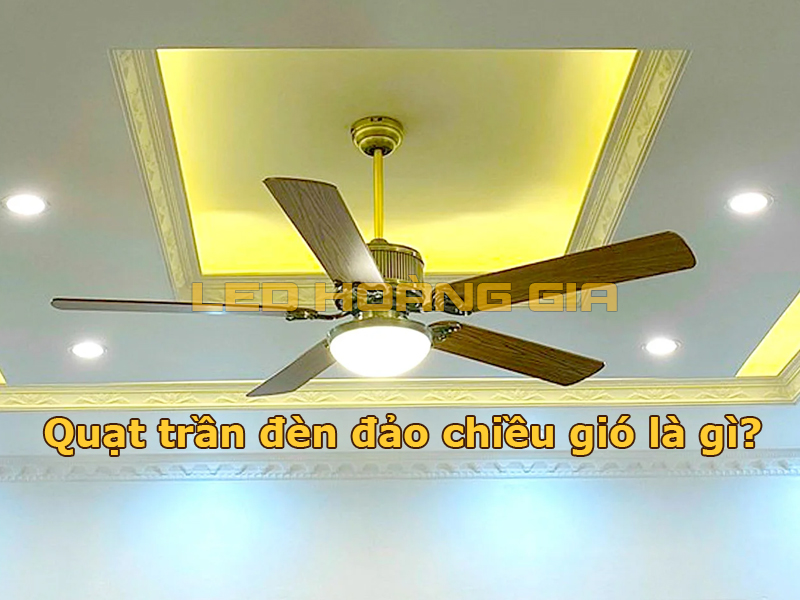 Quạt trần đèn có đảo chiều gió là gì?