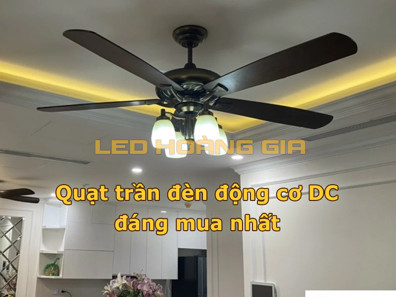 Quạt trần đèn động cơ DC đáng mua nhất