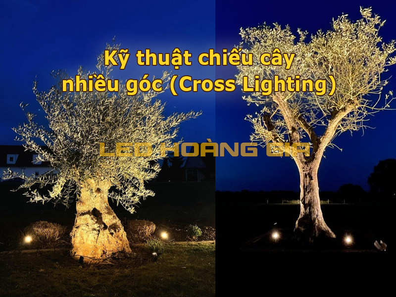 Kỹ thuật chiếu nhiều góc (Cross Lighting)