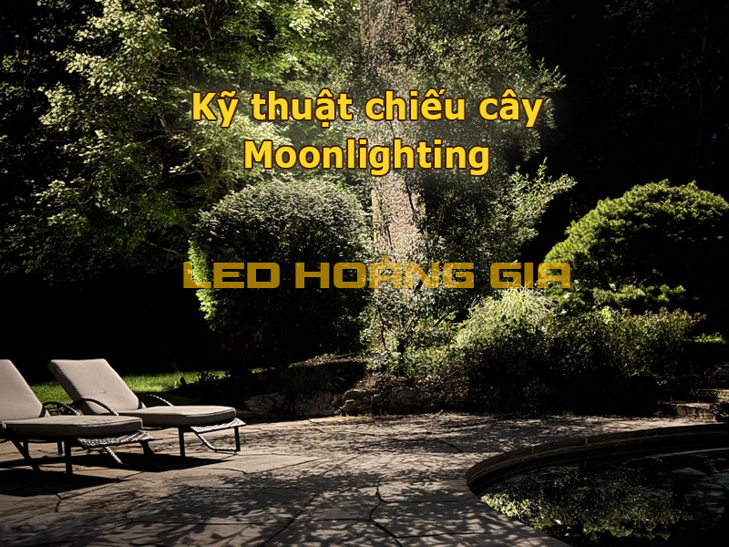 Kỹ thuật chiếu cây Moonlighting