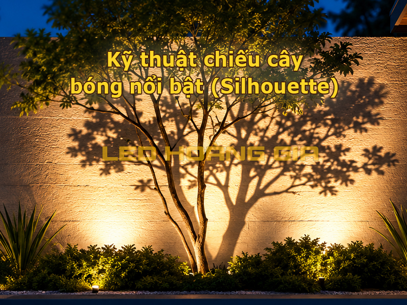 Kỹ thuật chiếu cây Silhouette