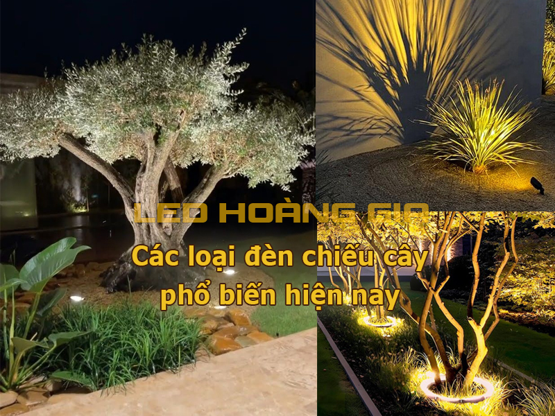 Các loại đèn chiếu cây phổ biến hiện nay