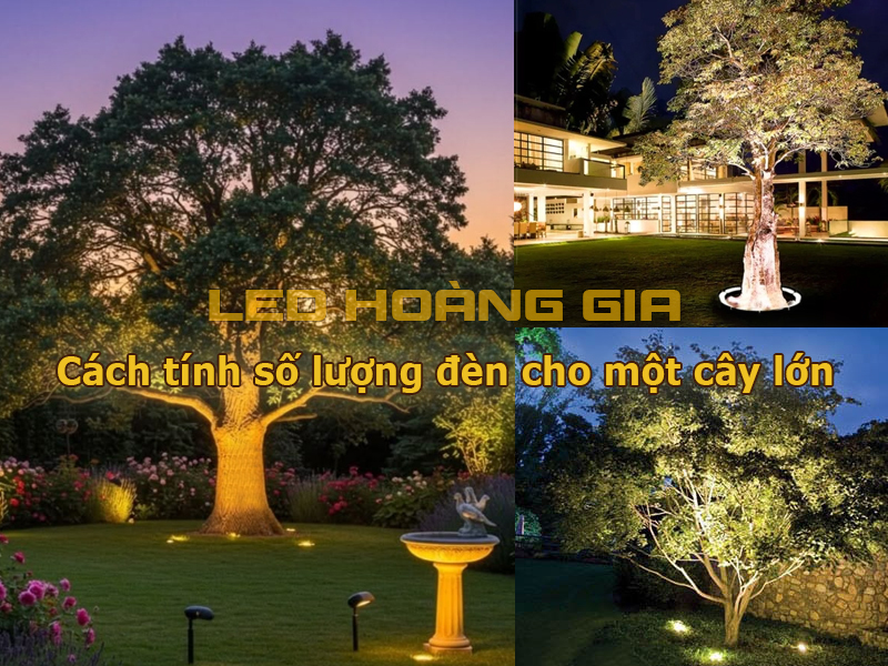 Cách tính số lượng đèn cho một cây lớn