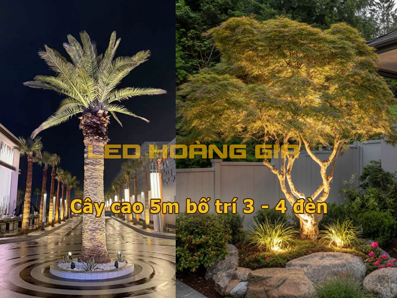 Cây cao 5m bố trí 3-4 đèn
