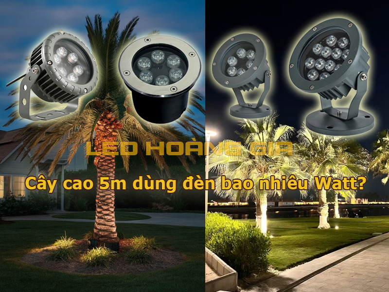 Cây cao 5m dùng đèn bao nhiêu Watt