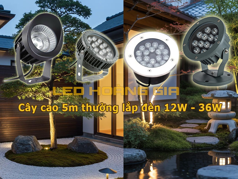 Cây cao 5m thường lắp đèn 12W - 36W