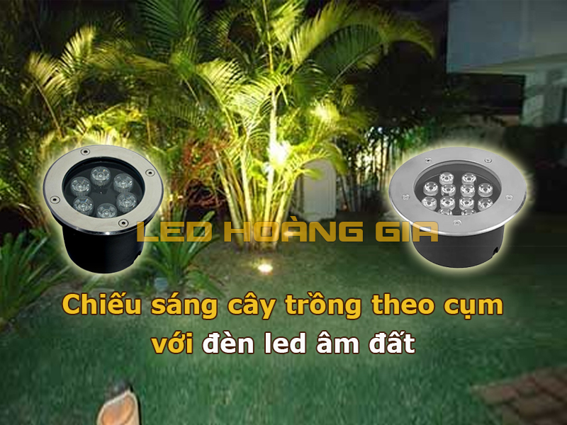 Chiếu cây trồng theo cụm với đèn led âm đất