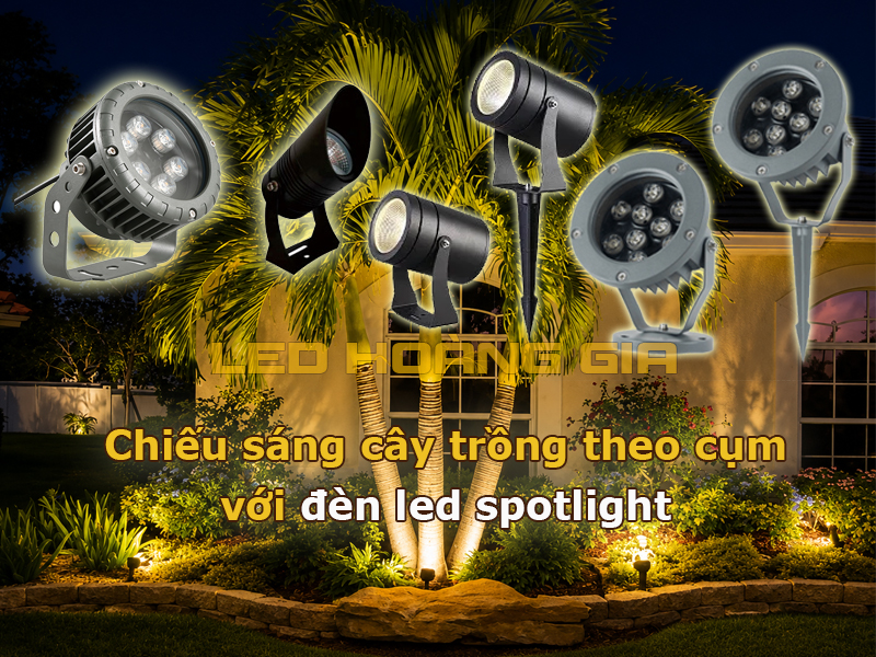 Lắp đèn spotlight chiếu sáng cây trồng theo cụm
