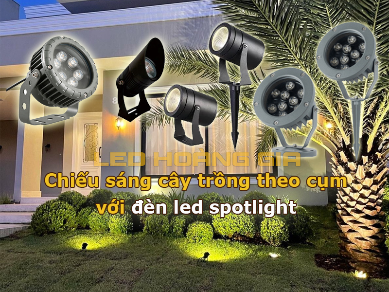 Sử dụng đèn led spotlight chiếu sáng cây trồng theo bụi