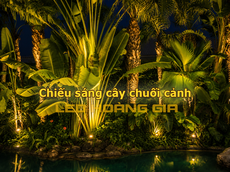 Chọn đèn chiếu sáng cây chuối cảnh có tiêu chuẩn IP phù hợp