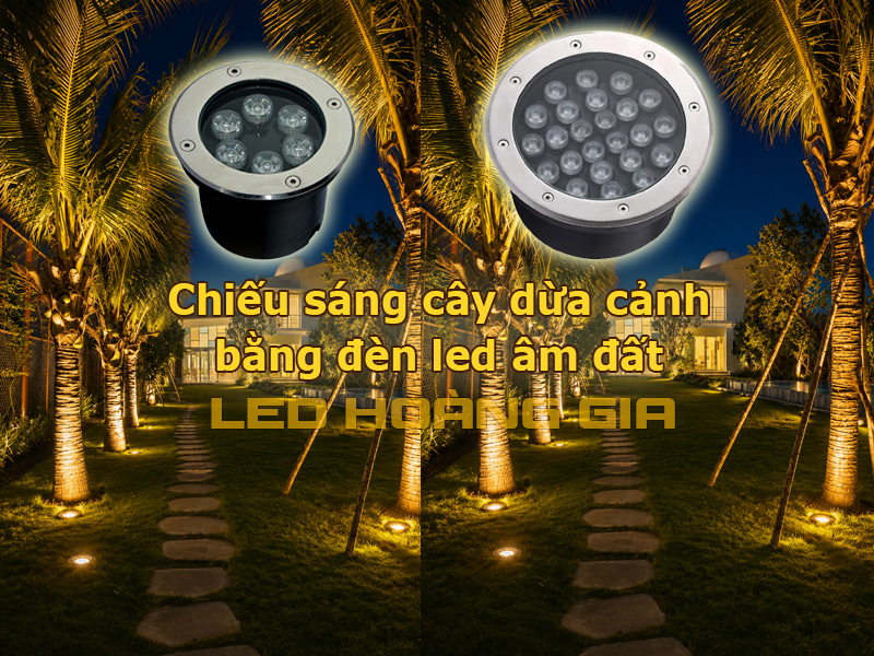 Chiếu sáng cây dừa cảnh bằng đèn led âm đất