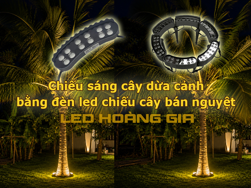 Chiếu sáng cây dừa cảnh bằng đèn led chiếu cây bán nguyệt