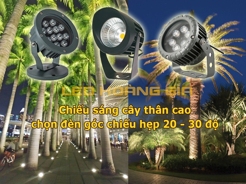 Chiếu sáng cây thân cao chọn đèn góc chiếu hẹp