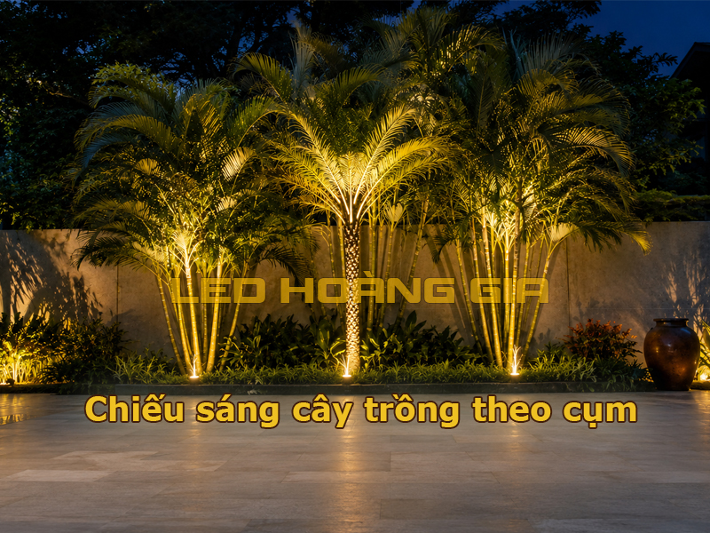 Chiếu sáng cây trồng theo cụm