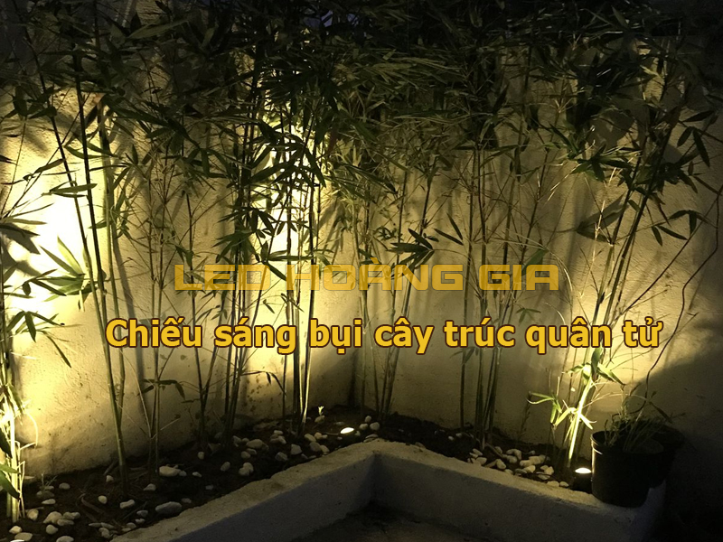 Chiếu sáng bụi cây trúc quân tử
