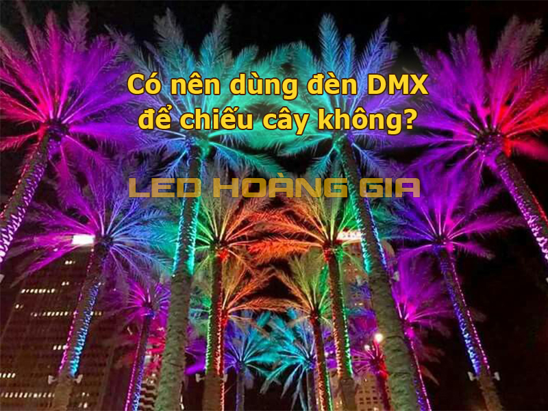 Có nên dùng đèn DMX để chiếu cây không