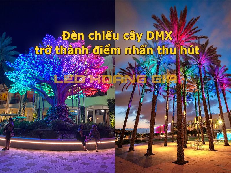 Đèn chiếu cây DMX trở thành điểm nhấn thu hút