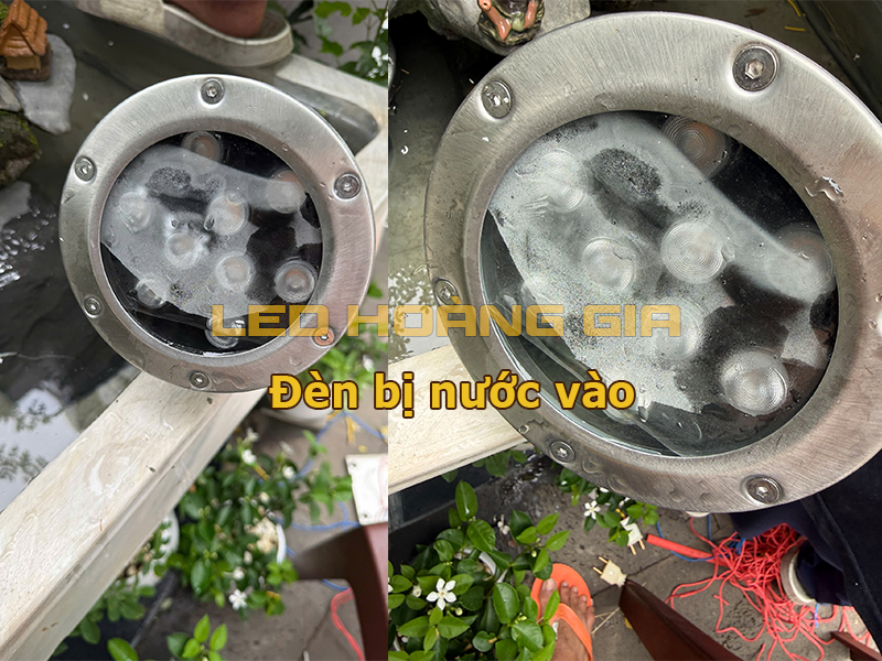 Đèn bị nước vào