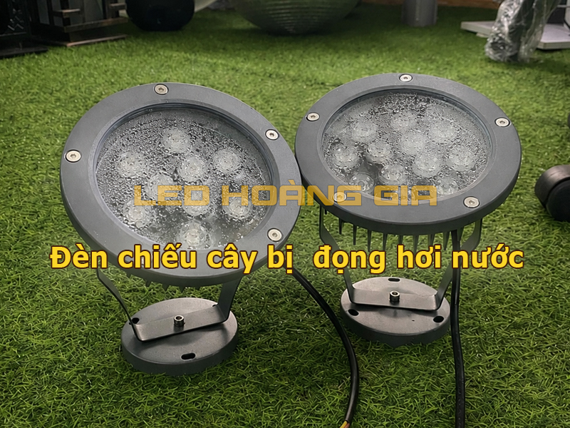 Đèn led chiếu cây bị đọng hơi nước