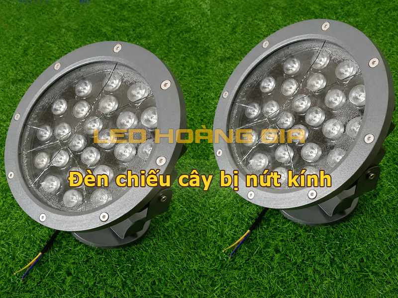Đèn chiếu cây bị nứt kính