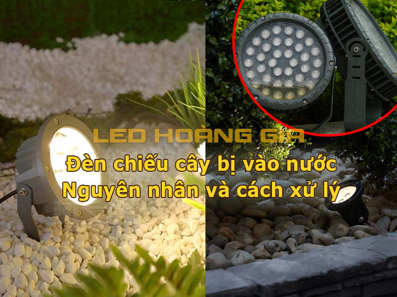 Đèn chiếu cây bị vào nước Nguyên nhân và cách xử lý