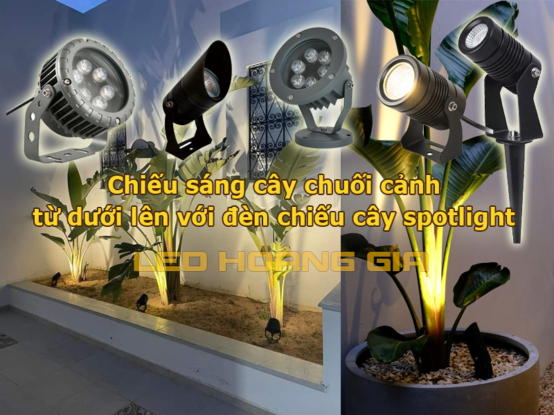 Đèn led chiếu cây spotlight chiếu cây chuối cảnh