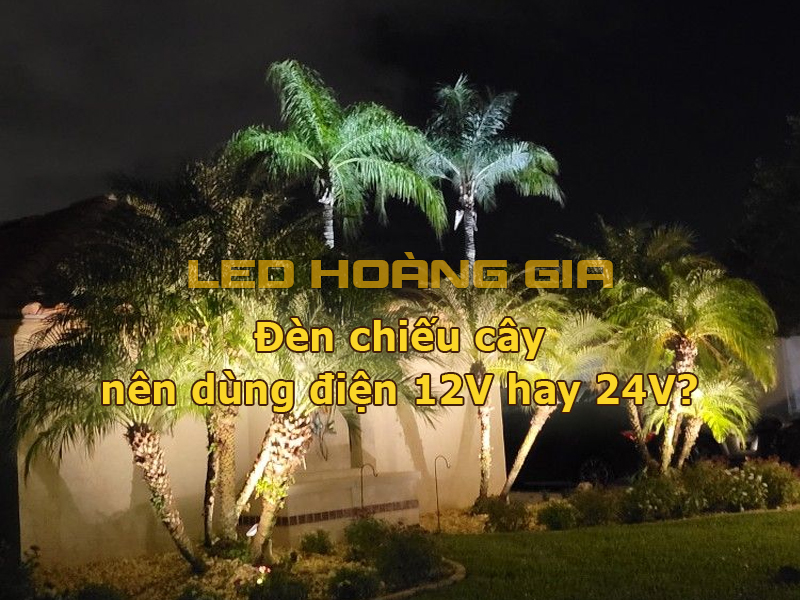Đèn chiếu cây nên dùng điện 12V hay 24V