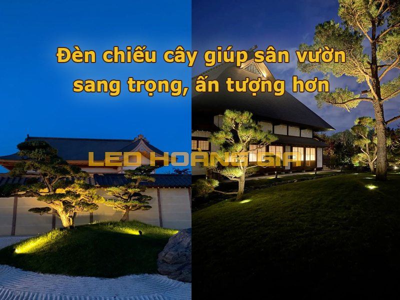 Đèn chiếu cây giúp sân vườn sang trọng và ấn tượng hơn