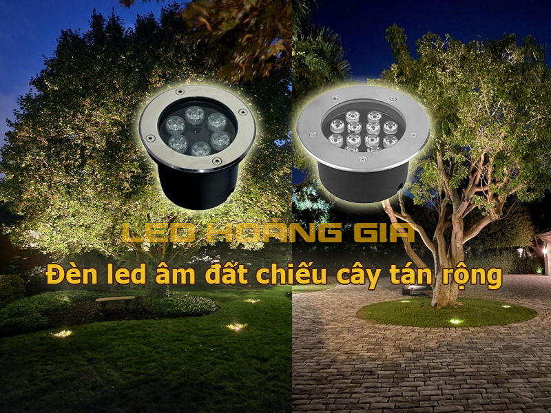 Đèn led âm đất chiếu cây tán rộng