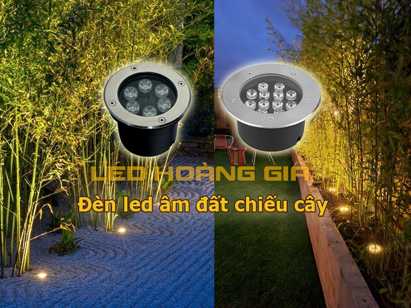 Đèn led âm đất chiếu cây trồng theo hàng